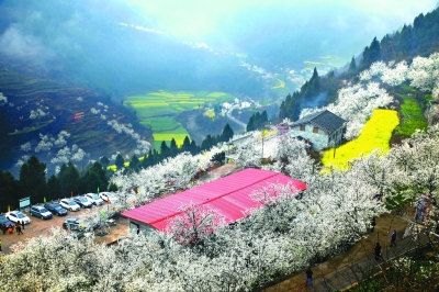 綠色是理念，更是行動