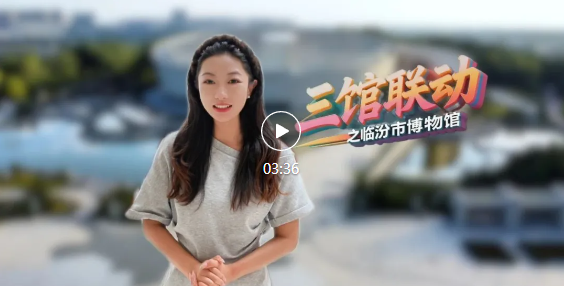 暑期打卡，臨汾市博物館別錯過！