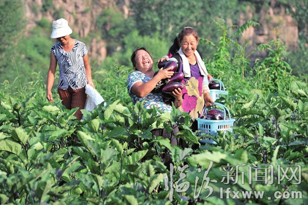 收入增加了，農(nóng)民臉上露出了笑容。 