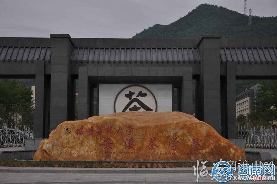 3.2安溪茶學院正大門 副本