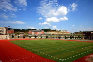 一張刷爆朋友圈的照片 美爆了