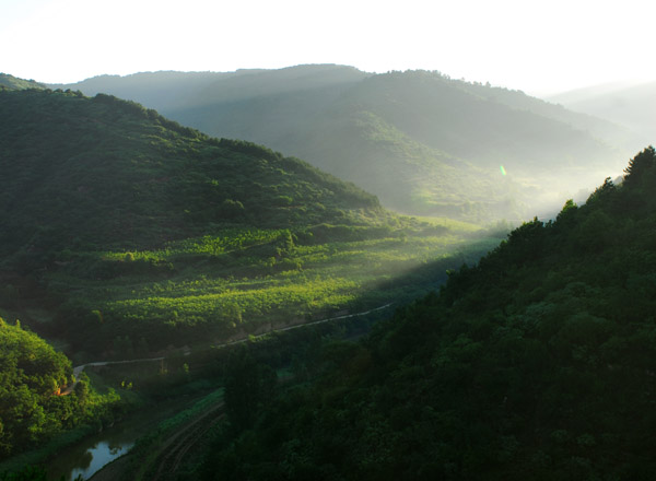 太岳風光（4張） 