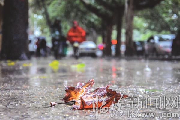 霜降已至 寒氣來襲 臨汾市民:請(qǐng)為自己添衣裳