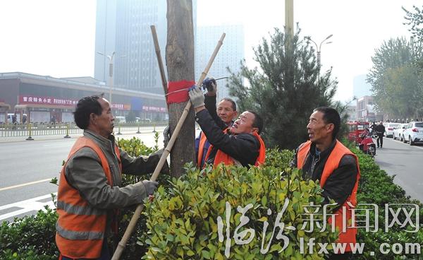 臨汾:防寒啟動(dòng) 樹木“穿衣”過暖冬
