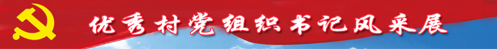 優秀村黨組織書記風采展